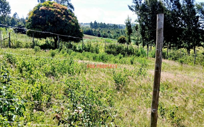 Prime Residential Plots For Sale In Kikuyu-ng'amba Area