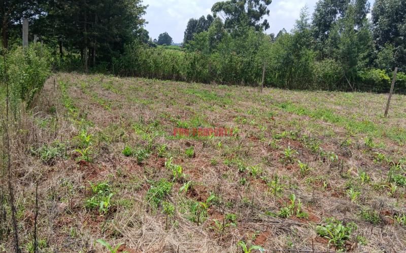 RESIDENTIAL PLOT FOR SALE IN KIKUYU, THIGIO