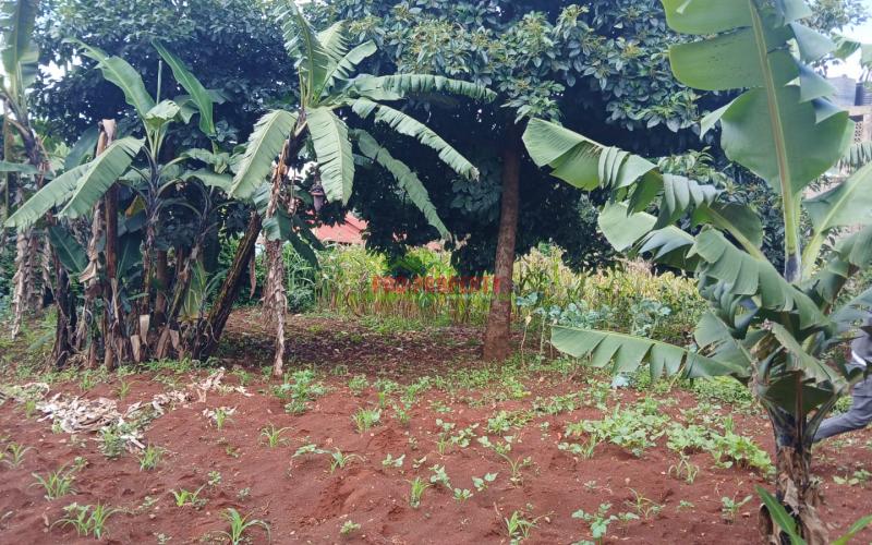 Commercial Plots For Sale Ready For Investments