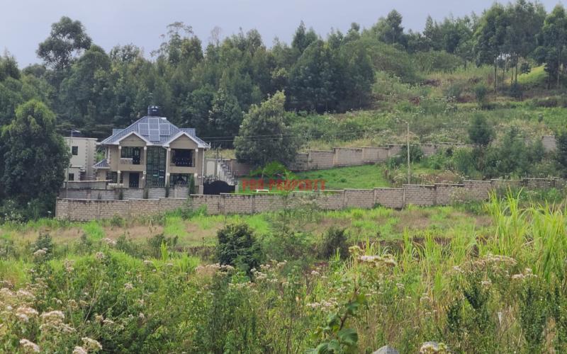 Prime Residential Plot For Sale In Lusingeti (kinyua Close)