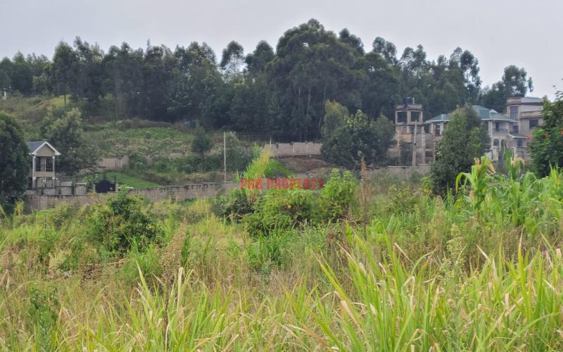 Prime Residential Plot For Sale In Lusingeti (kinyua Close)