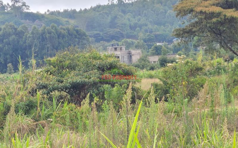 Prime Residential Plot For Sale In Lusingeti (kinyua Close)