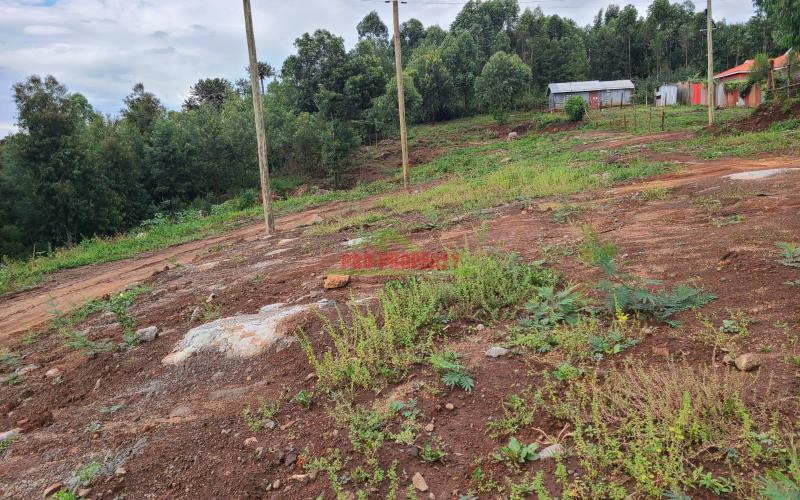 Residential Plot For Sale In Lusingeti(behind Aubrey School)
