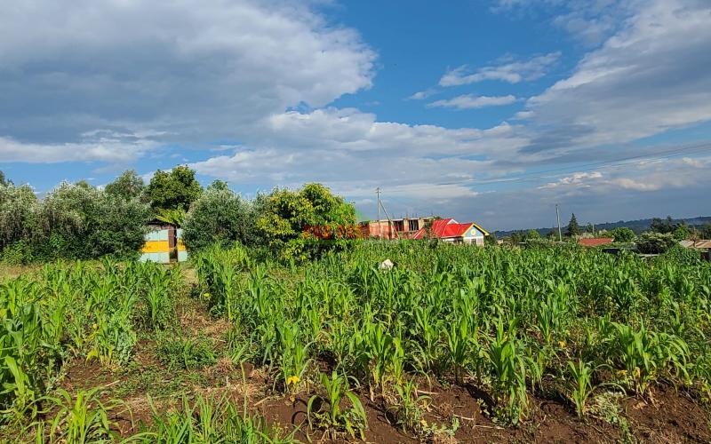 Residential Plot For Sale In Kamangu (green View)