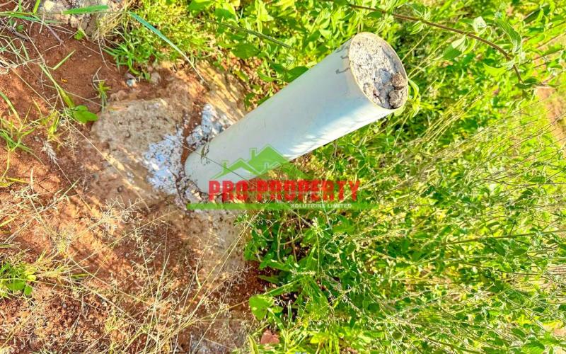 Prime Residential 50 By 100fts Plots For Sale In Kikuyu, Nachu