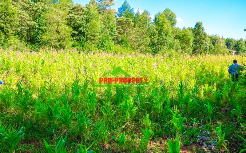 Prime Residential 1/4 Acre Plot For Sale In Ondiri-muslim, Kikuyu