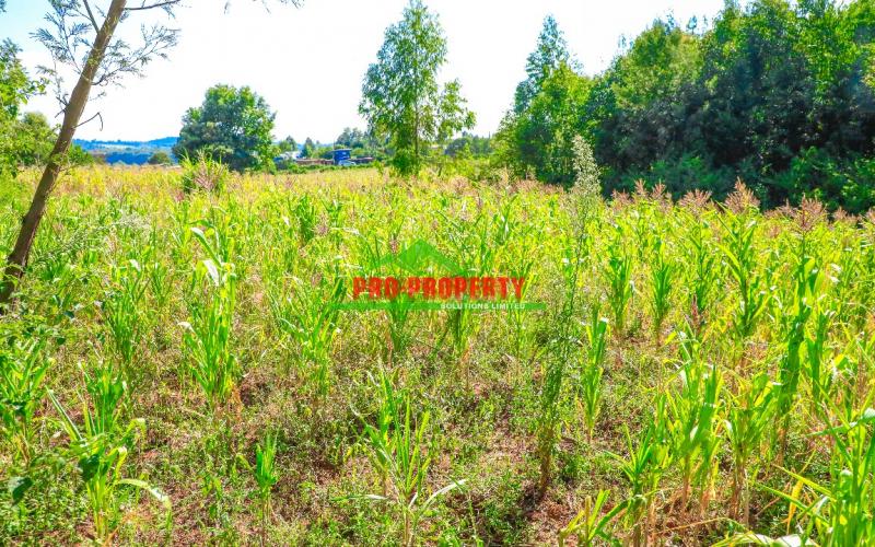 Prime Residential 1/4 Acre Plot For Sale In Ondiri-muslim, Kikuyu