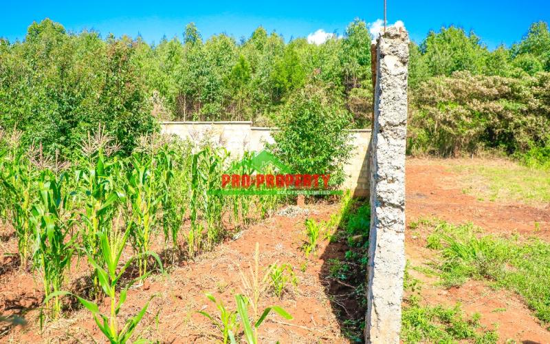 Prime Residential 50 By 100fts Plot For Sale In Ondiri-muslim, Kikuyu
