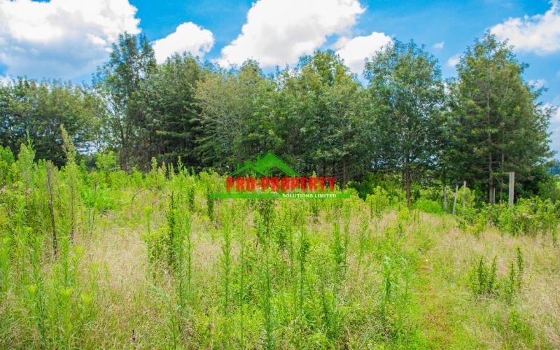 Prime Residential 50 By 100 Fts Plot For Sale In Kikuyu, Ngamba