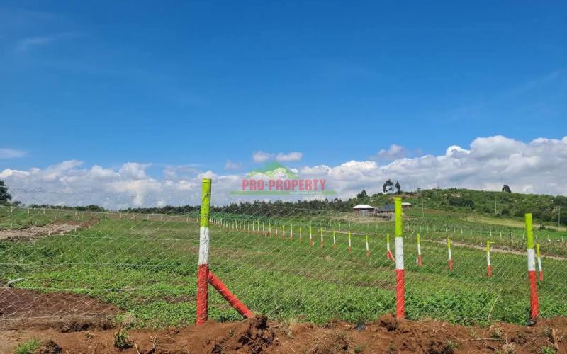 Prime residential plot for sale in kikuyu NACHU