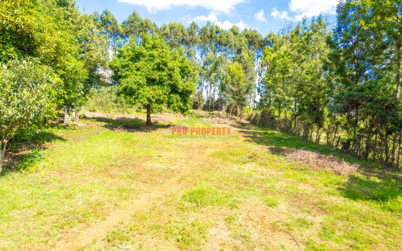 Prime Residential Land For Sale In Kikuyu, Gikambura
