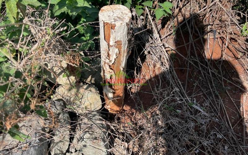 Plains View Estate Phase One In Kikuyu, Gikambura.