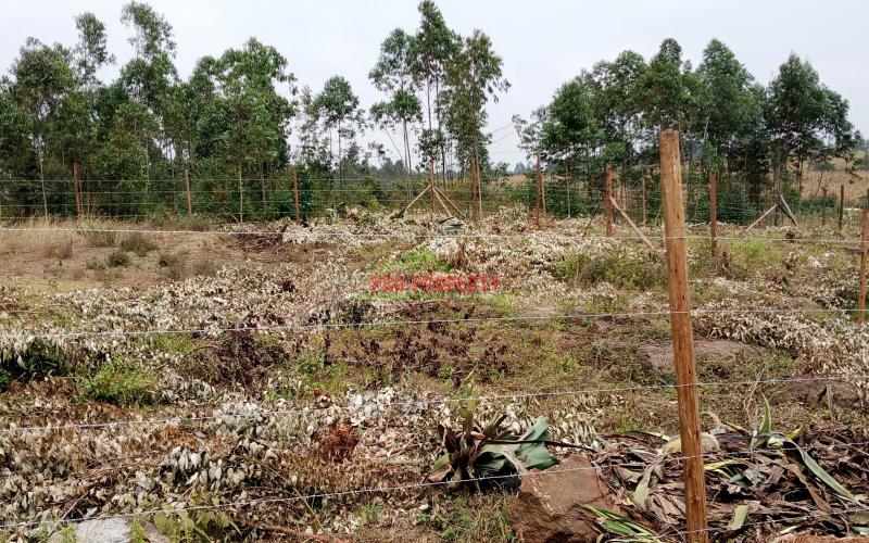 Prime plot for sale in lusigetti kikuyu