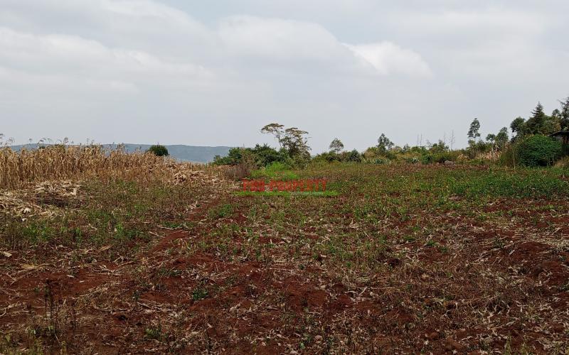 Prime Residential Plot For Sale In Kikuyu Kamangu.