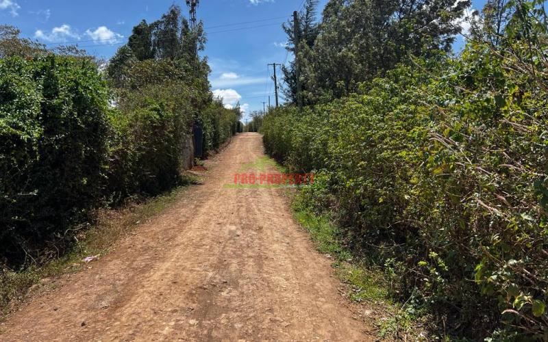 Prime  Residential Plot For Sale In Kikuyu, Migumoini.