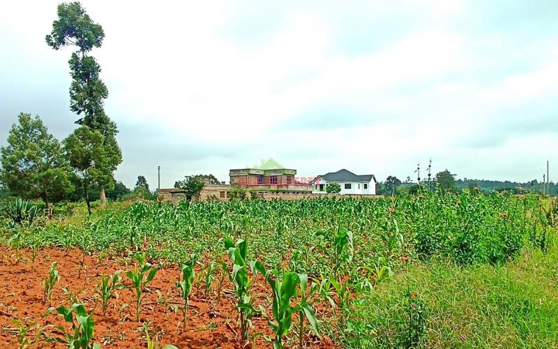 Residential Plot for Sale in Kikuyu, Lusegetti – Kiambu County