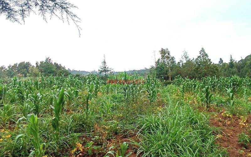Residential Plot For Sale In Kikuyu, Kamangu Area
