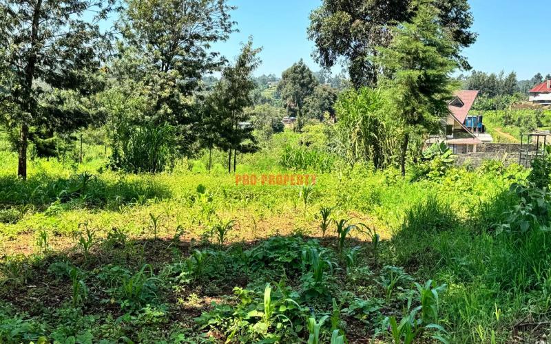 Prime Residential  plot  for Sale  in Kikuyu, Ondiri .