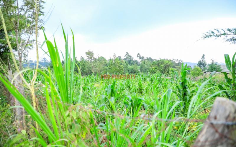 Prime Residential Plot For Sale In Kikuyu, Kamangu.