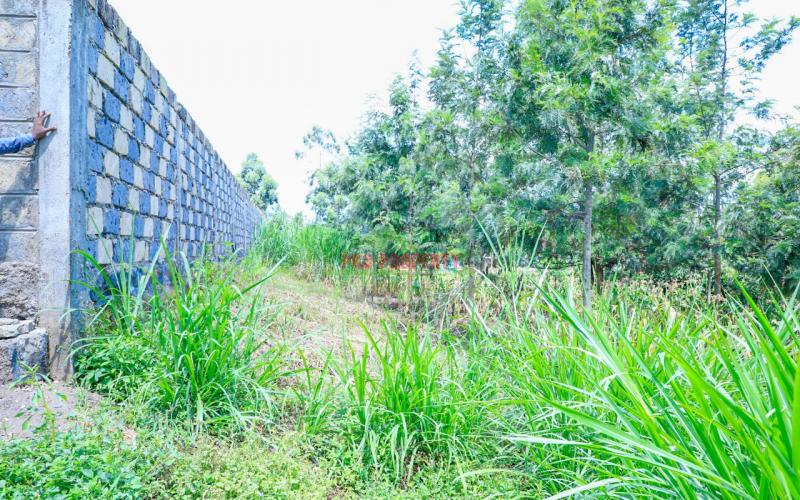 Prime Residential Plot For Sale In Kikuyu, Thamanda