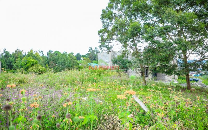 Prime Residential Plot For Sale In Kikuyu, Kamangu.
