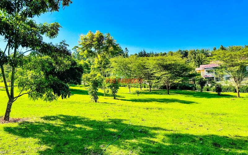 Prime 1/4 Acre Plots For Sale In Ngong (tulivu Estate)