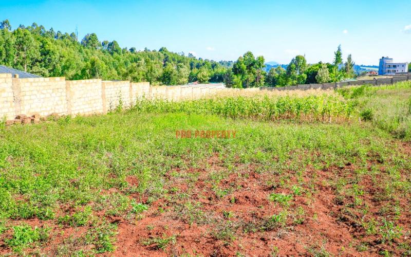 Prime Residential Plot For Sale In A Gated Community Concept In Kikuyu, Ondiri