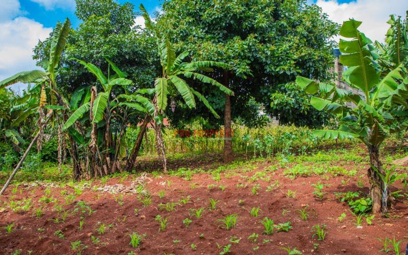 Prime Commercial Plot For Sale In Kikuyu, Thogoto