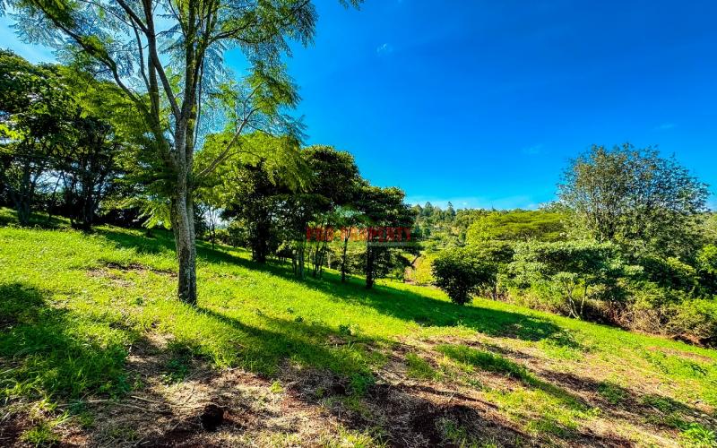 Prime 1/4 Acre Plots For Sale In Ngong (tulivu Estate)