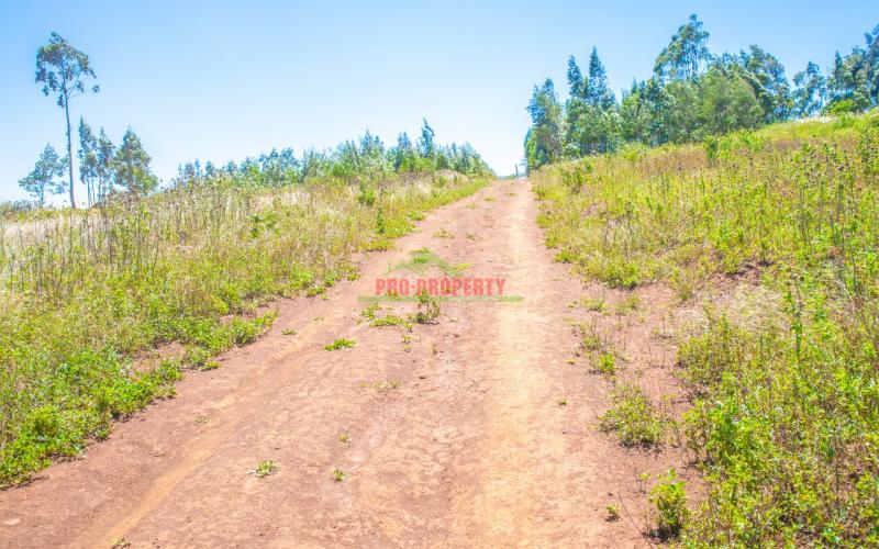 Prime Residential Plots For Sale In Kikuyu, Kamangu