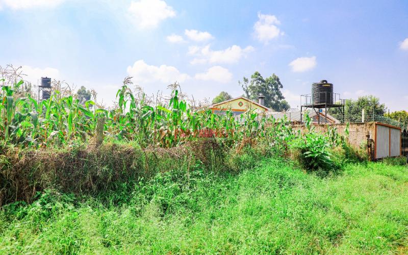 Prime Commercial Plot For Sale In Kikuyu, Sigona - Zambezi.