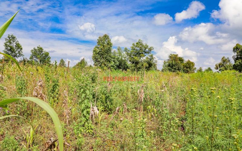 Prime Residential Plot For Sale In Kikuyu, Kamangu (ng’amba Area).