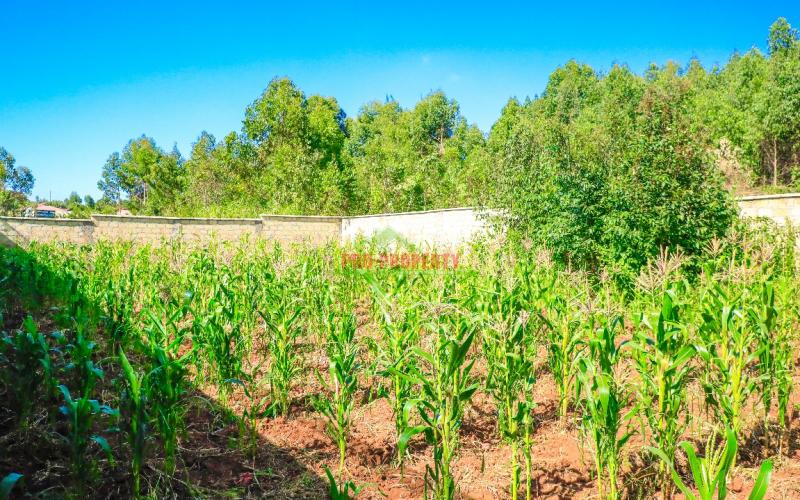 Prime Residential Plot For Sale In Kikuyu, Ondiri