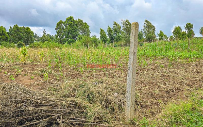 Prime Residential Plot For Sale In Kikuyu, Gikambura