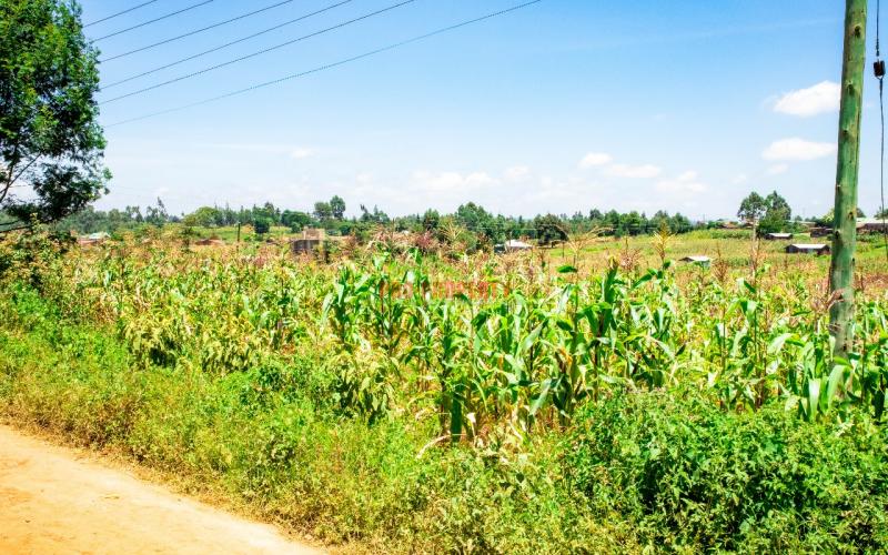 Prime Residential Plot For Sale In Kikuyu, Kamangu.