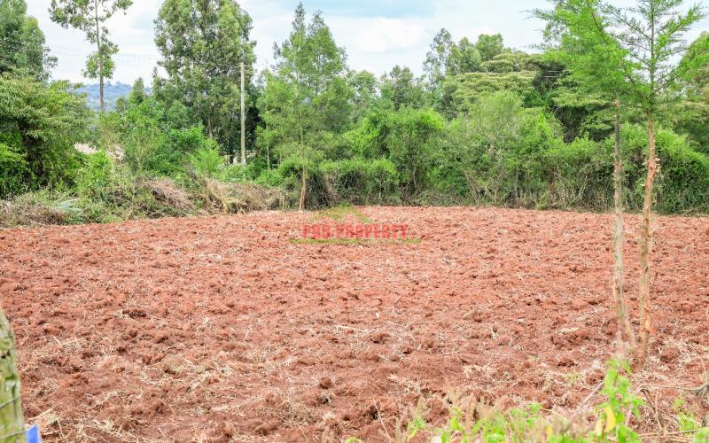Prime Residential Plot For Sale In Kikuyu, Lusigetti