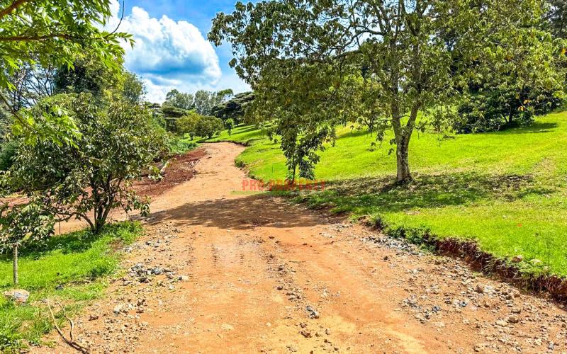 Prime 1/4 Acre Gated Community Plots For Sale In Ngong – Tulivu Estate