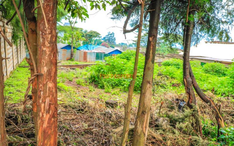 Prime Commercial Plot For Sale In Kikuyu Town
