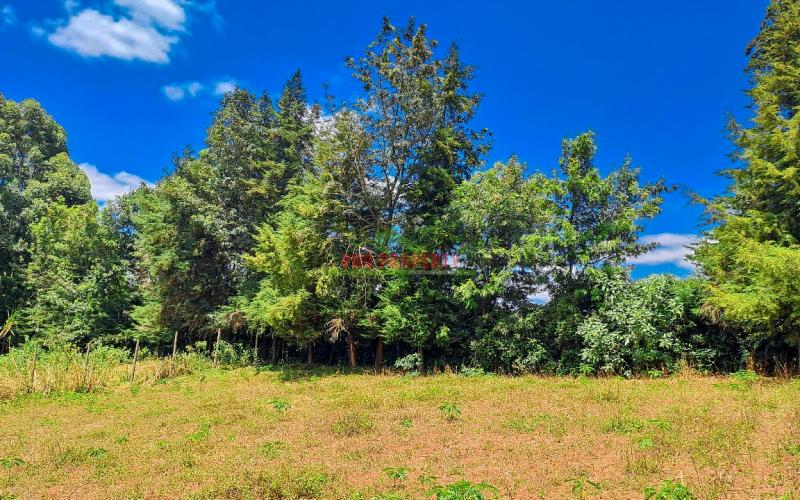 Prime Residential Plots For Sale In Kikuyu, Ondiri In A Gated Community Concept