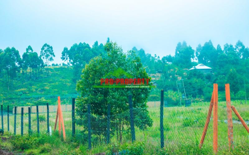 Prime Residential Ready To Build 50 By 100fts Plot For Sale In Kikuyu, Nachu