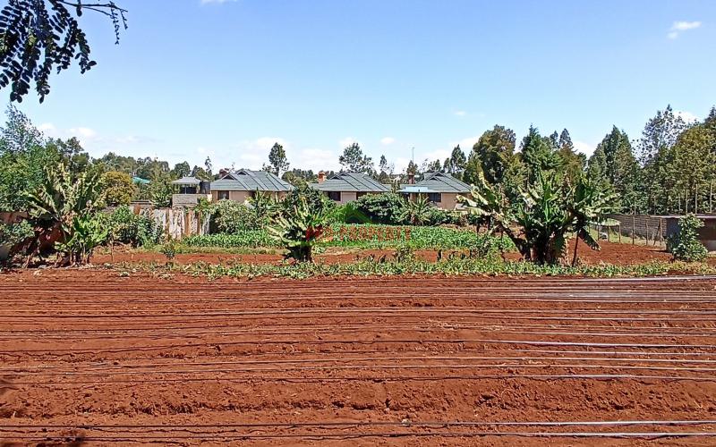 1 Acre Land For Sale In Kikuyu, Thogoto