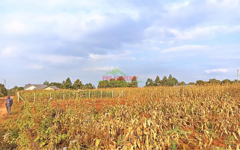 Prime Plots For Sale In Kikuyu, Kamangu, Kiambu County