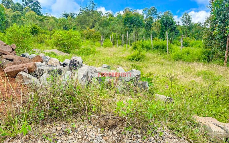 Affordable Residential Plot For Sale In Kikuyu, Rose Gate (nachu Area)