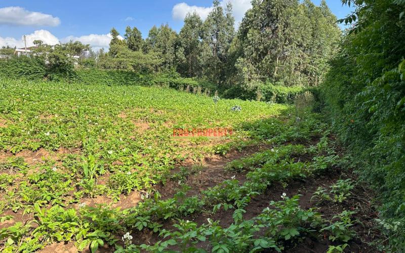 Prime Residential Plot For Sale In Kikuyu, Kamangu