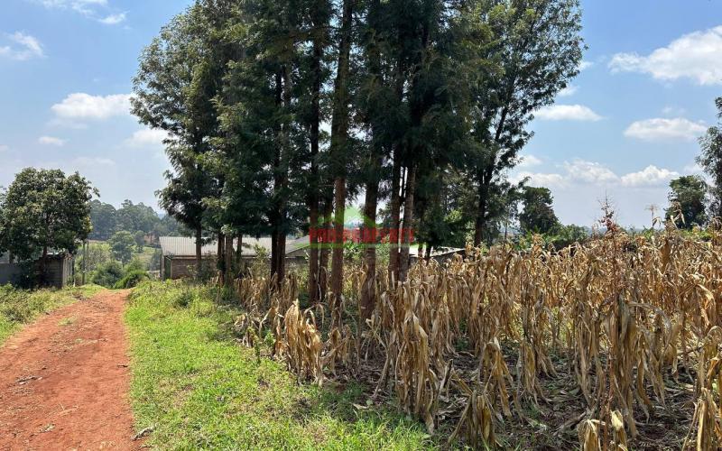 Commercial Plot For Sale In Kikuyu, Thogoto