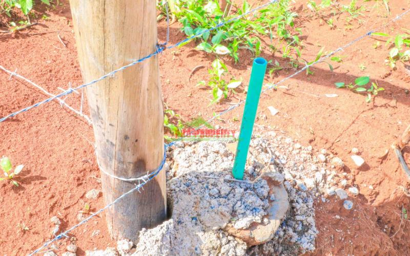 Prime Residential Plot For Sale In Kikuyu, Karai-migumoini Area.