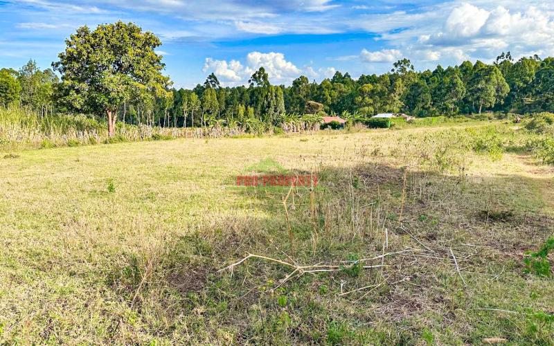 Half Acre Land For Sale In Kikuyu Thogoto.