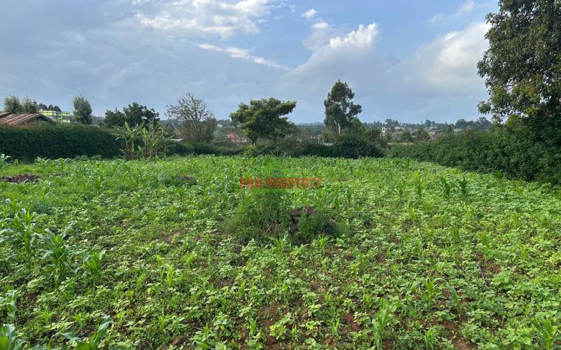 Residential ¼ +⅛Acre together plot for sale in Kikuyu, Kamangu