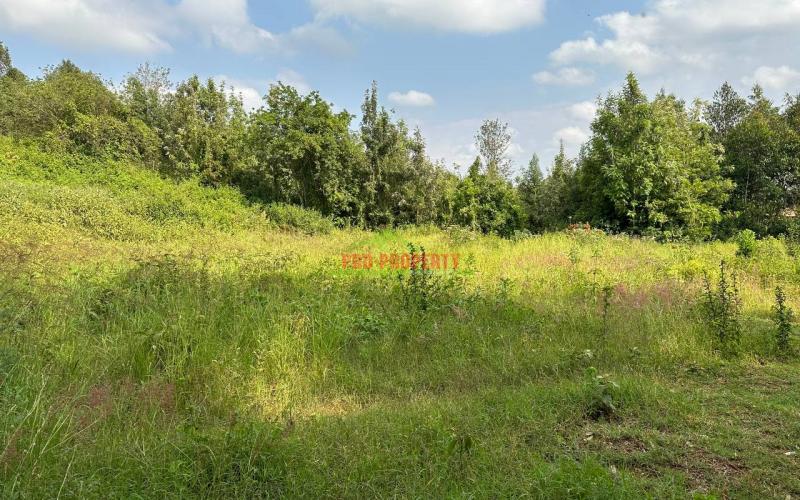 Residential Plot For Sale In Kikuyu, Ondiri-kiambu County.