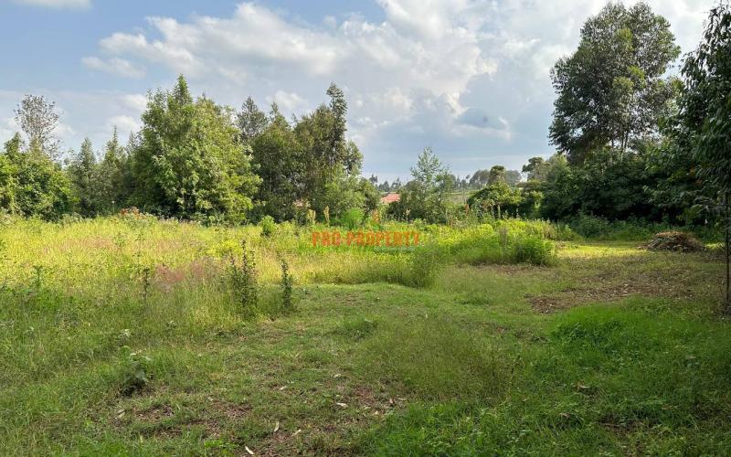 Residential Plot For Sale In Kikuyu, Ondiri-kiambu County.